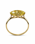 3.03 ct. Oval Lab Diamond Solitaire Ring